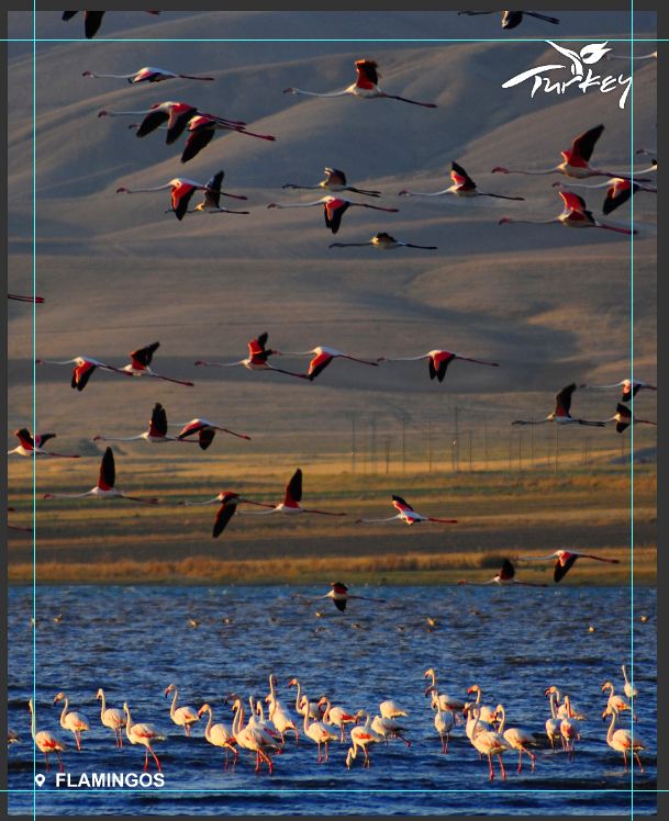 Türkiyenin 3. Büyük Fuarı Van Uluslararası Turizm ve Seyahat Fuarı Başlıyor.26 Eylül 29 Eylül 2019 Tarihlerinde Fuar ve Kongre Merkezine davetlisinz. 
Tüm Renkler ve Tatlar bir arada.
<a href="/TCKulturTurizm/">T.C. Kültür ve Turizm Bakanlığı</a>
@VanValilik <a href="/vantsokurumsal/">Van Ticaret ve Sanayi Odası</a> <a href="/tursaborgtr/">TÜRSAB</a> <a href="/OsbVan/">VANOSB</a> <a href="/vanbuyuksehirbb/">T.C. Van Büyükşehir Belediyesi</a> @DAKA_org_tr