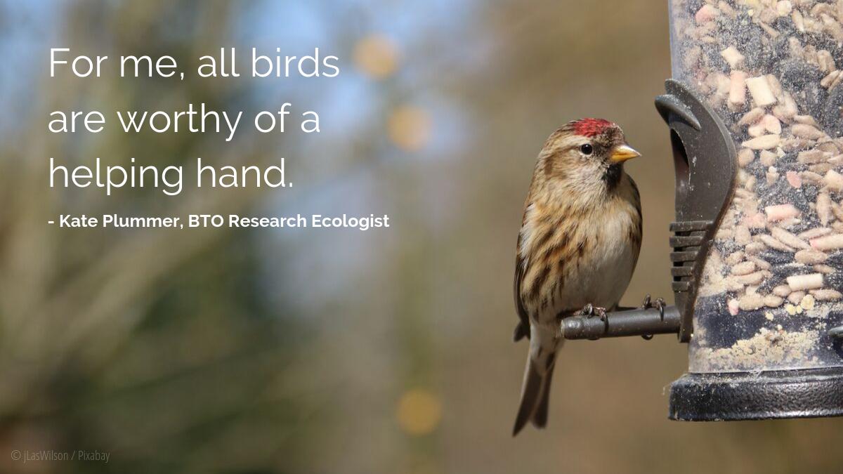 There is something special about feeding the birds visiting your garden, but we sometimes ask are we doing it right? This blog by Dr Kate Plummer (@_kateplummer) assesses the latest research and provides some sound advice. bit.ly/KateBTOBlog