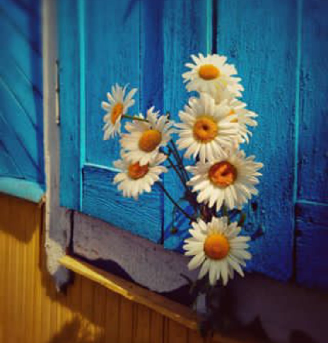 MIRIAN_RD🇩🇴 #LoveDMami ❤AmigosD❤ tweet media