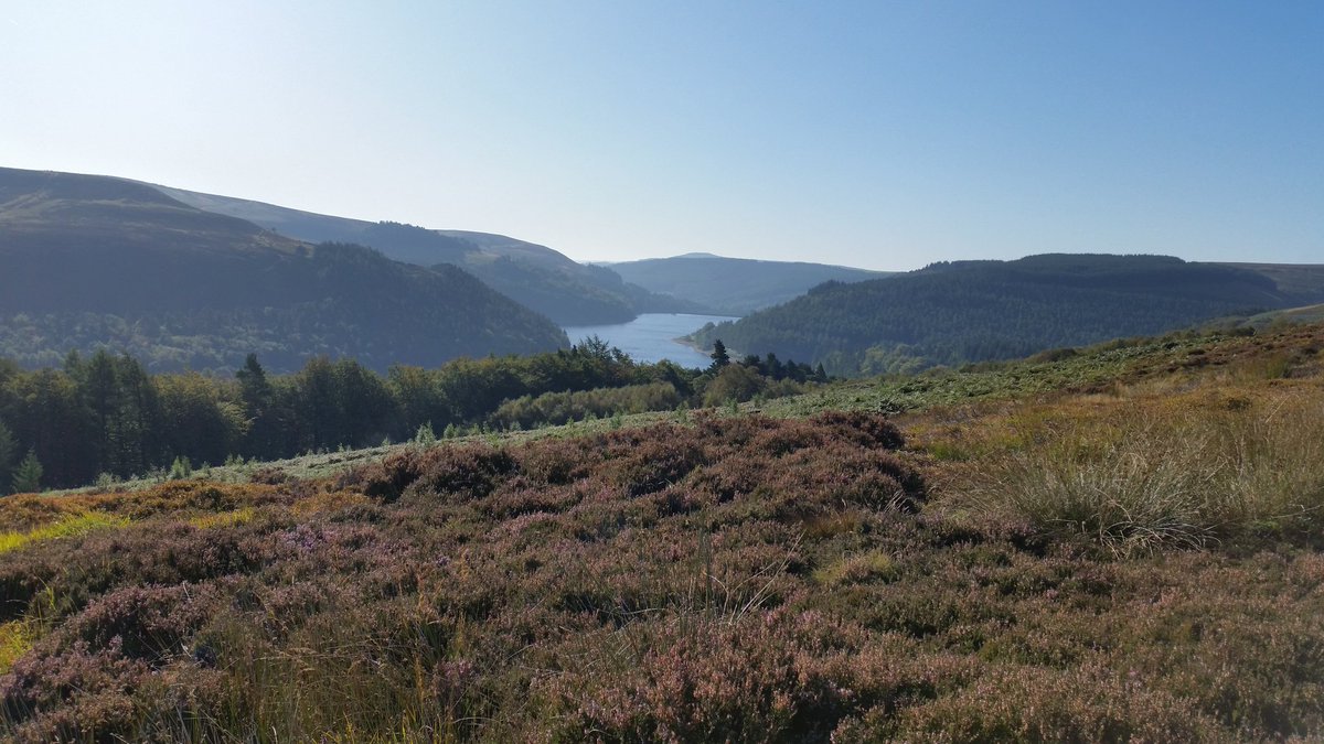 We really enjoyed our day on the fells with @PeakDistrictNT planting sphagnum moss. 3,600 plants put in the ground by our team of 11 volunteers. #volunteer #greatoutdoors