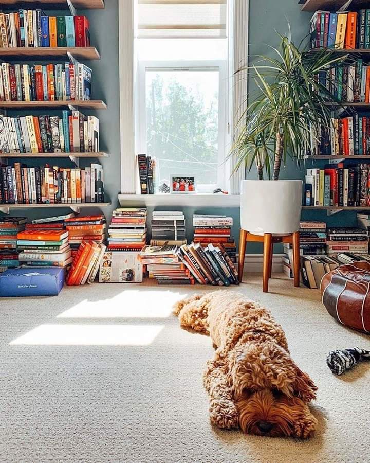 'The Only Thing,I Like In Any House, Is a Book shelf'
_Aqeel Rafique

📸 Via Instagram (fictionmatters).
