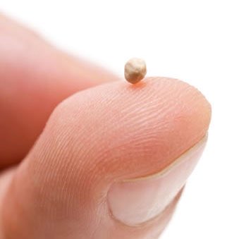 craftedpn's tweet image. sco pu tu manaa...