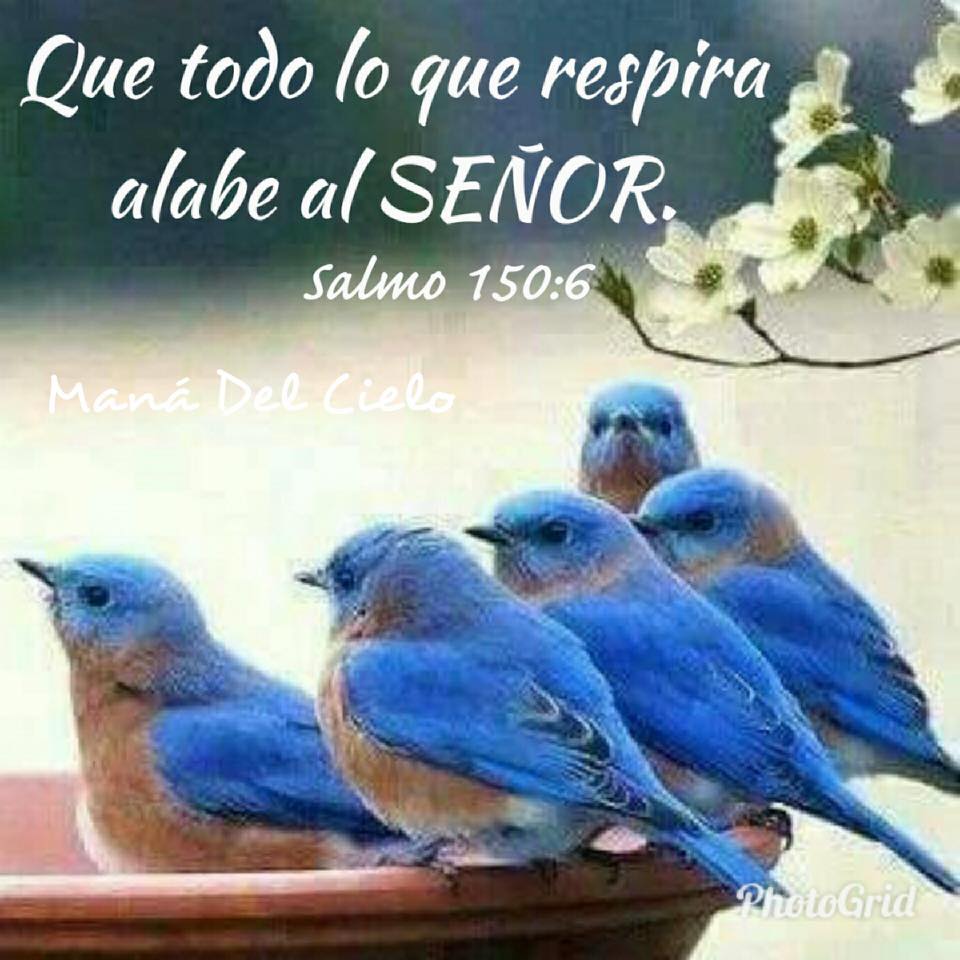 Biblia Letra gigante naranja champagne borde blanco con cierre –  libreriatroya.com, image size:960x960