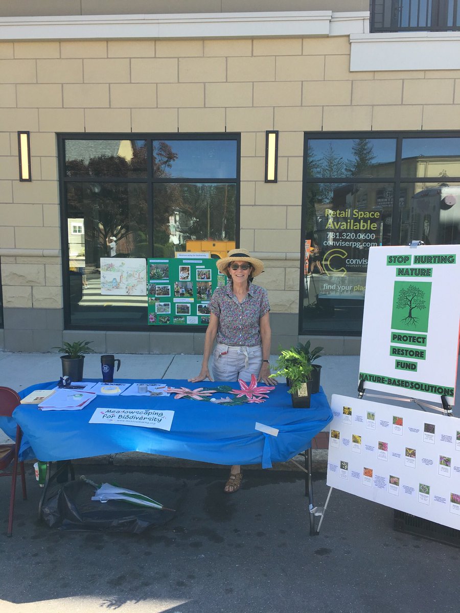 Jean4now's tweet photo. Ready for the Waltham Parade #biodiversity #nativeplants #meadowmaking https://t.co/gDaZhPjZRX