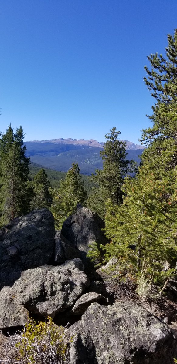 AudacityofTrope's tweet photo. Leia offered to take first watch on our camping trip. #ColoradoForever https://t.co/z0hFzfbVqu
