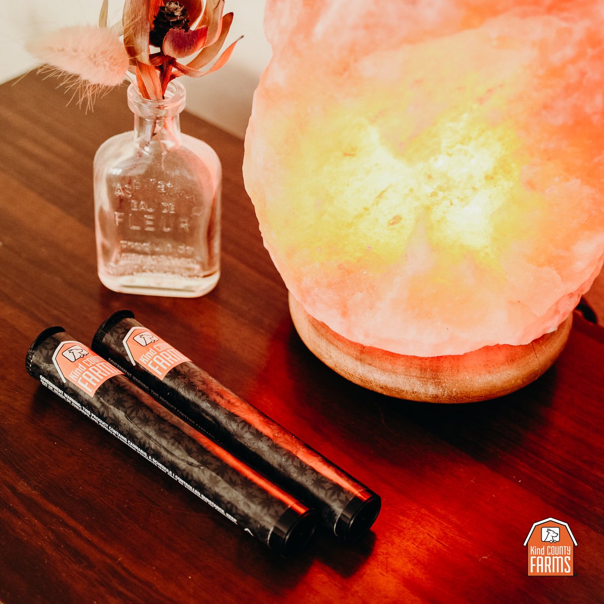 Double down on Kind County Farms prerolls over at @kindcouriersf this month. 👍👍

#highsociety #cannabisculture #wellness #gg4 #kindyland #pdawg #cannabisgrow #trichome #growcannabis #californiacannabis #sanfranciscolove #outersunset #sunsetdistrict #BayAreaCannabis