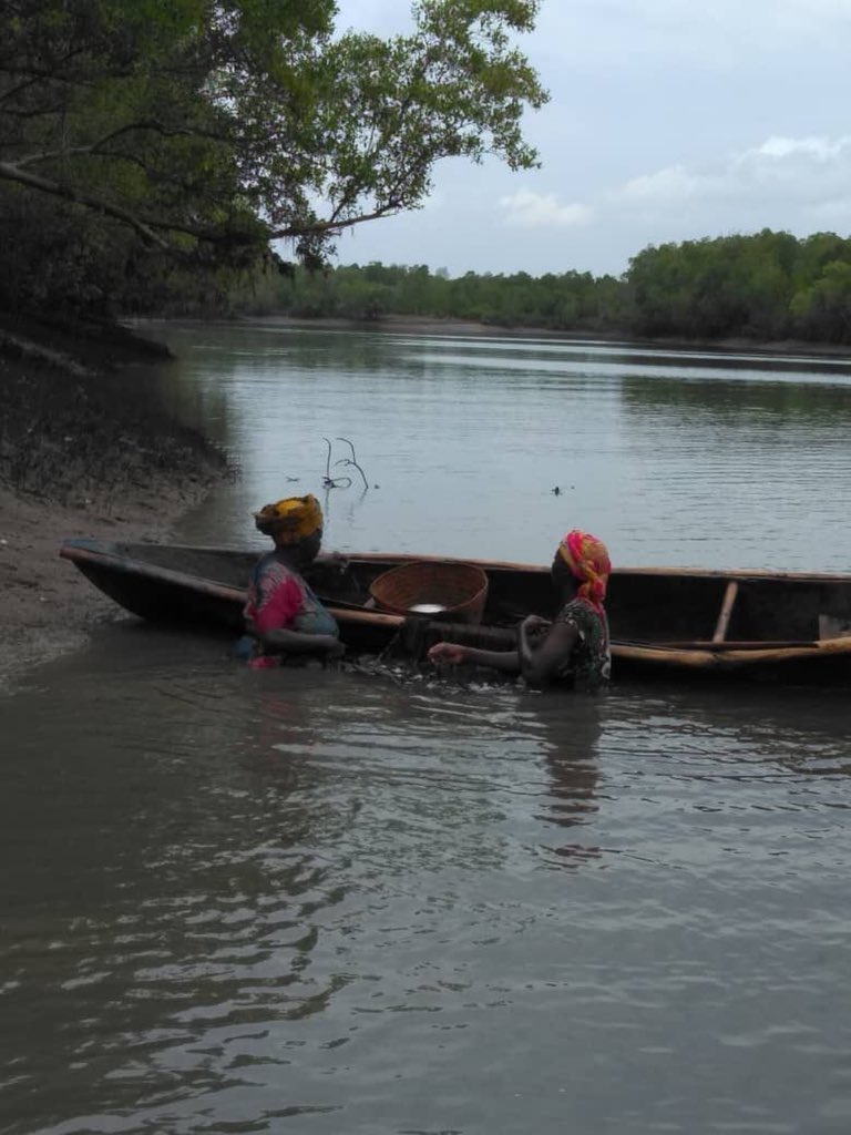 OfGuidelines's tweet photo. Women make up half the global labor force in fisheries and aquaculture, supporting a dynamic economic sector crucial to food security and nutrition. Yet,gender dimension receives scarce attention. How does this lack of awareness of their contributions affect sector’s performance? https://t.co/M8m8FwX90Y