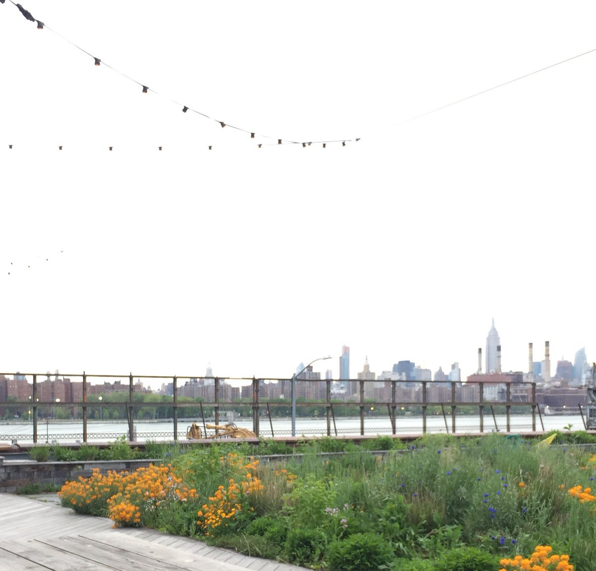 Fortessa Tableware tweet media