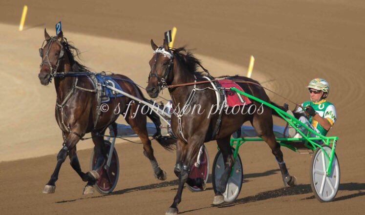 R_ERacing's tweet photo. Our main man 🐴 #MrProtab 
📷: https://t.co/9pYzxXYFVG https://t.co/umceYMOq82
