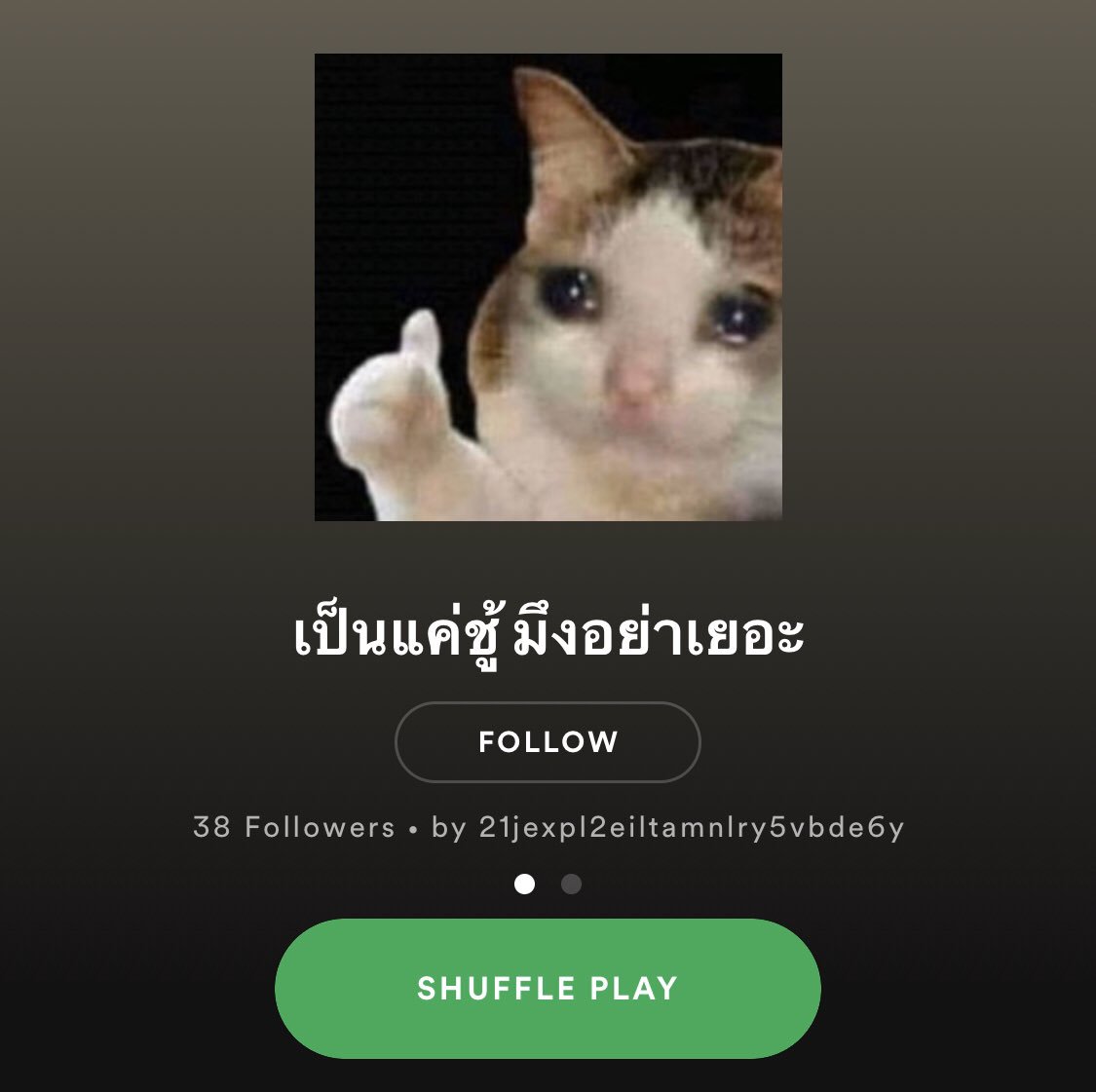 hbker07's tweet photo. ใครจะบอกว่าแอปเปิ้ลมิวสิคดีกว่ายังไง เค้าเล่นสปอติฟายกันเพราะชื่อเพลลิสเถอะ555555555555555555555555555 https://t.co/hJInQT2WtO