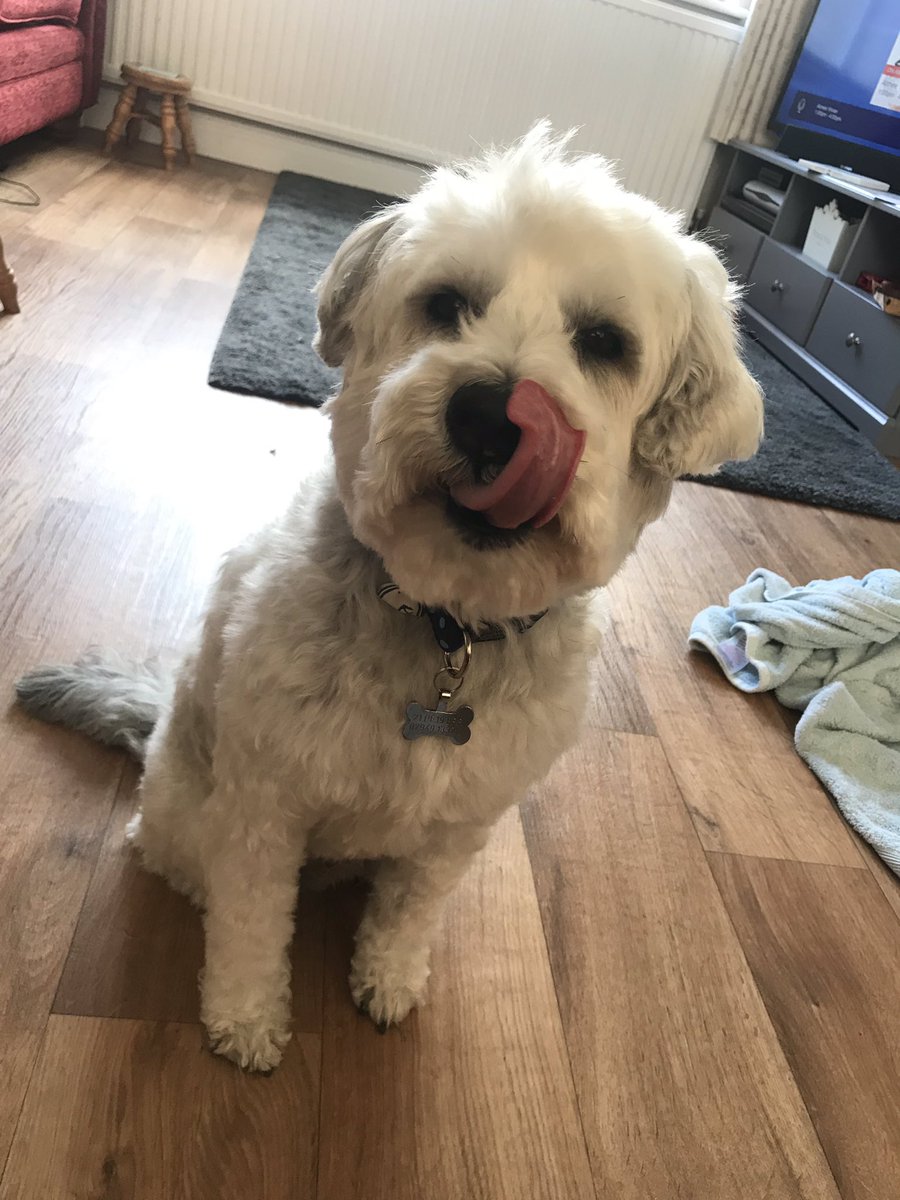 tobygoodboi's tweet photo. i got my hair cut https://t.co/GWGd2Qg5Vh