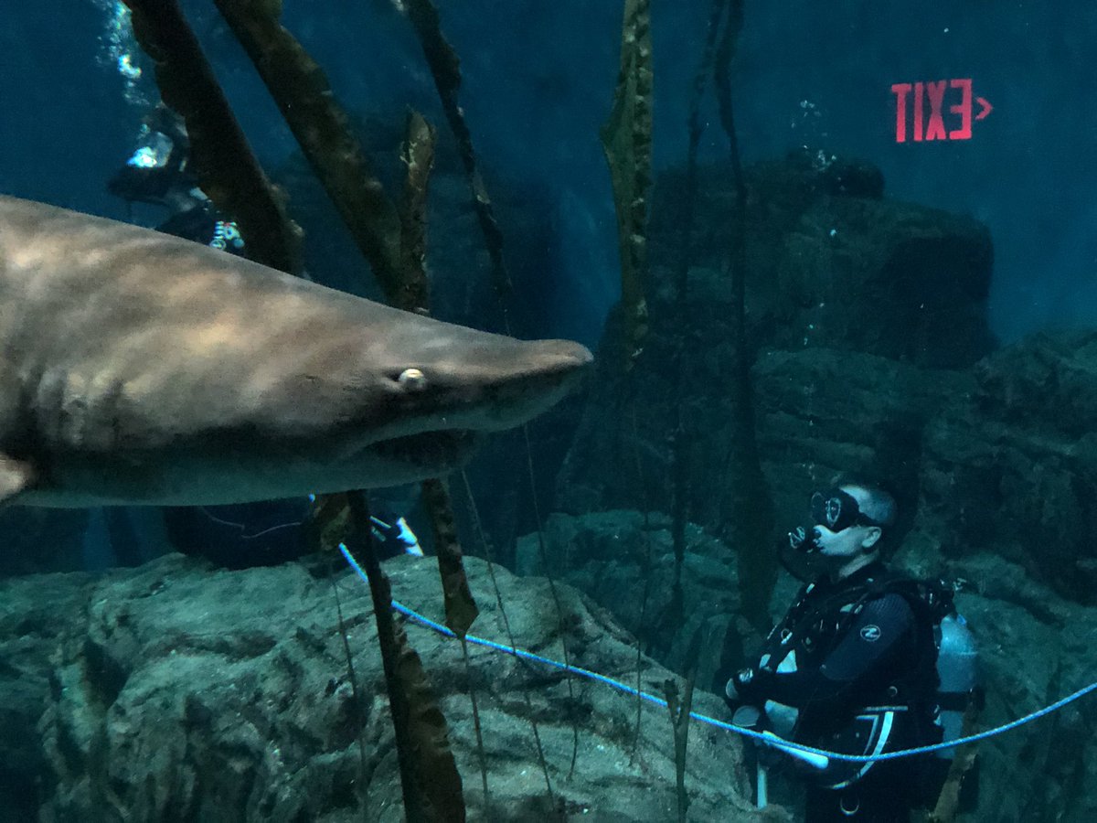 Jess Vonashek in Norwalk CT tweet media