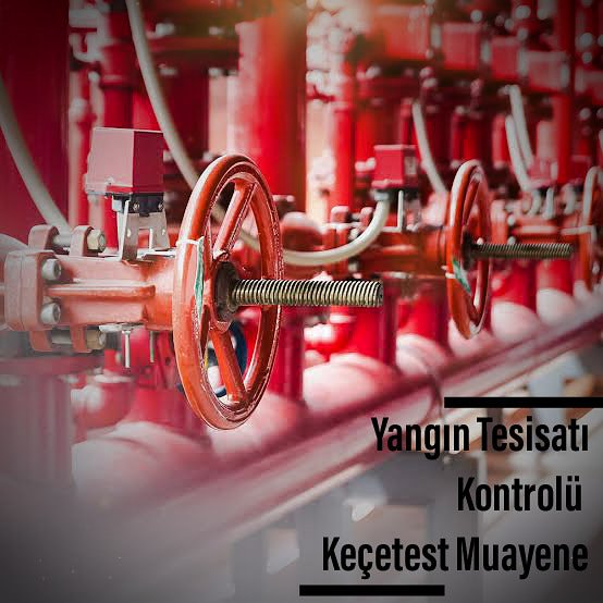 Detaylı Bilgi: kecetestmuayene.com
İletişim: 0212 617 5323 ~ 0552 577 5323