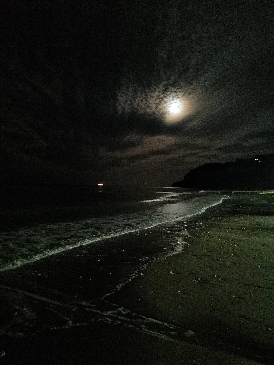 LycanEclipse's tweet photo. When your Mate20 Pro far outshines anything that tacky Apple can pull out of their pockets #Mate20Pro #Huawei #apple #iPhone11Pro #AppleSuck https://t.co/Q6HbU65Naz
