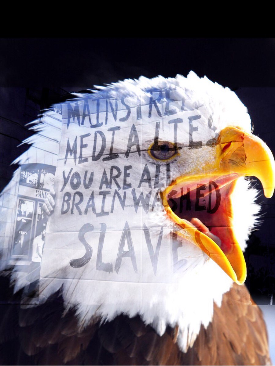 gallogallo1967's tweet photo. 4. @NewsForLeft @DudeDarkmoney ( I made an exception Today.  Graphics 1-3 were done 2 years AGO. And nothing HAS REMOTELY CHANGED https://t.co/T80nbRS1w9