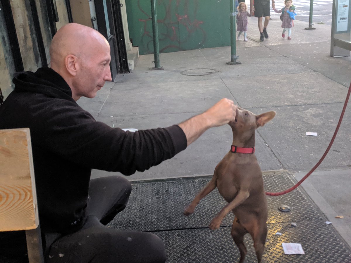 Most importantly Space Force will need pets.This is Murphy, he a mini doberman. Nancy has never been a dog person, but you know how that goes, they clicked.