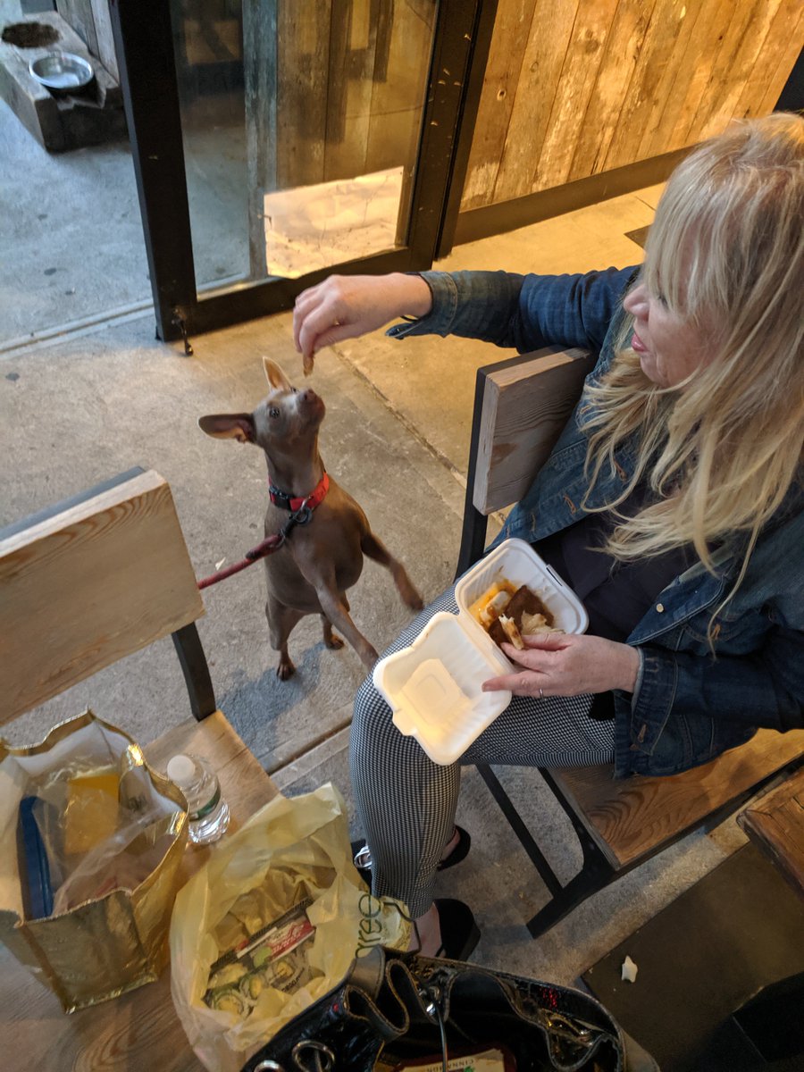 Most importantly Space Force will need pets.This is Murphy, he a mini doberman. Nancy has never been a dog person, but you know how that goes, they clicked.