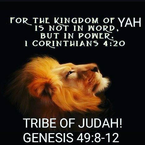 TrinityCircle's tweet photo. #HalleluYah! #YAHAWAH #YAHAWASHI #REPENTSHEMITESDU30 #SABBATHFr6pSa6p #COVENANTLAWSSTATUTESCOMMANDMENTSLV23 #ABRAHAMISAACJACOB #400YRSLAVERYDU28 #12TribesOfIsraelNegros #IsraelOnlySaved #ArkOfTheCovenant #Bantu #Judah #AfroUK #AfroBR #BHM #FreeBlacksOfIsraelHill #Negro #Negroland https://t.co/oQ2nZoxycu