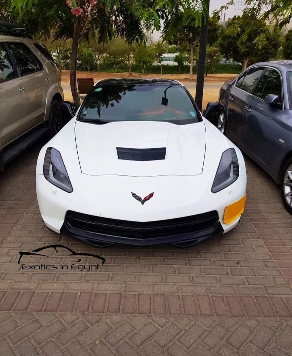 in_exotics's tweet photo. Exotics_in_egypt ☠💥 V.E.T. T.E✖🇺🇸
-------------------
•Corvette C7 Stingray
•Location 📮:AUC
•Photo taken by📸:Seif gamal
•Spotter Date🗓:September, 2019
-------------------
#dope #egypt #eie #exoticinegypt #exotic #C7 #musclecar #tagamo3 #lovecar #american #Vip
#z51 #AUC https://t.co/9Jp4WNmH7q