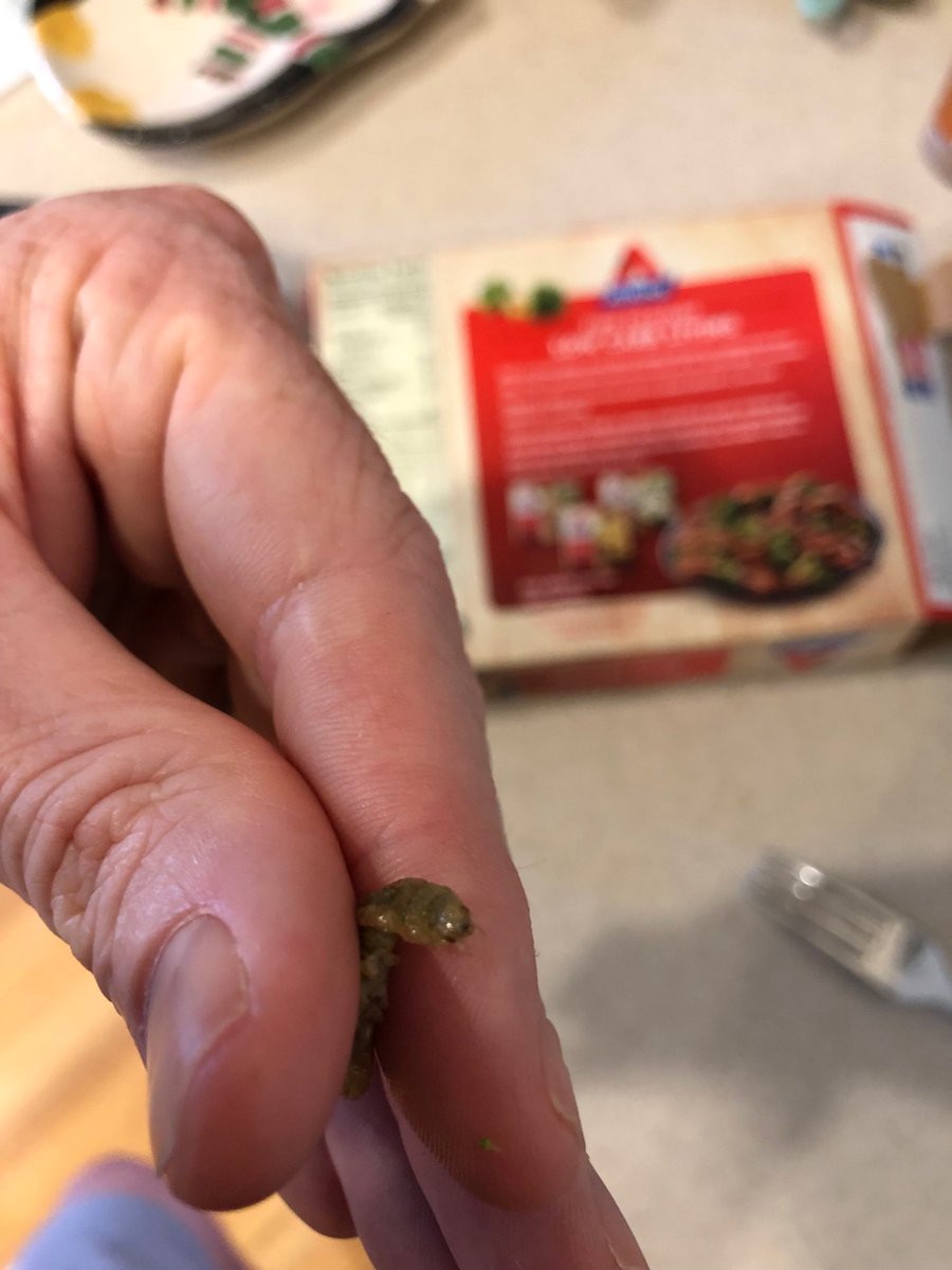 BrandonWHowell's tweet image. Not sure what creature this is but gross @AtkinsInsider @bellisiofoods #gross #atkins #bellisiofoods #foodfail #whatisthis