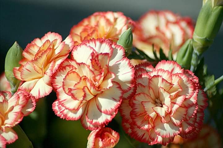 America Holguin🇺🇸🌺🦋🌺 (@america23617306) on Twitter photo <a href="/antoniaparra8/">antonia parra</a> <a href="/denise_m_simsek/">Denise Simsek - Author</a> <a href="/otrogoga60/">ᴏꜱᴄᴀʀ ɢᴏᴍᴇᴢ ɢᴀʀᴄɪᴀ</a> @CristinPereyra <a href="/emadothman3/">Emad Othman</a> <a href="/MhkAltaiy/">@Mhk20993466</a> <a href="/MamCivi/">Mam Roj Çivi</a> <a href="/lob_lily/">Lily</a> <a href="/marinavibu609g/">🌻MARINA🌻</a> <a href="/NoemRosales3/">Noemí Rosales</a> @YYYUUUOOOS <a href="/m_studart/">Carolina Studart</a> <a href="/angsala67/">Salmón</a> <a href="/SnowWhiteRina/">Snow White Rina</a> <a href="/Yony54967643/">Yony</a> <a href="/monicasloves/">Monica Cates</a> @Chandra1Vinod <a href="/JadavRashmin/">𝑹𝒂𝒔𝒉𝒎𝒊𝒏 𝑱𝒂𝒅𝒂𝒗</a> <a href="/yaidunohannji/">Naoki Nishino</a> <a href="/heroldbarton/">herold barton</a> <a href="/ZXZX01111/">🌹 I love everybody🌹</a> <a href="/carrionnancy17/">Nancy Carrión Lozano</a> <a href="/Silau25/">♡Silvia♡</a> <a href="/ZEYNAZERDA/">ZEYNEB MELİSSA</a> <a href="/grandesol2016/">LUA CHEIA DE AMOR.</a> <a href="/SSomjook/">S.somjook</a> <a href="/SKID1144/">OLIVERESKRIDGE</a> <a href="/LFSRS/">Luciano</a> <a href="/love_somka/">Emerson Richman</a> <a href="/VipEurope5/">1</a> <a href="/ThShaher/">🕛🕒🕕🕘 تغريدةعتيجة</a> <a href="/ArtsandScents/">Manuela Pfannes</a> <a href="/followtrickvip/">Follow Trick VIP 💎</a> <a href="/essa72161293/">عيسى ظاهر النومس</a> <a href="/Shemaiko2018/">Shemaiko Wisdom Quotes</a> <a href="/Kamar_Leilak/">I love My Sister Cata Forever ❤ #TeamDollNature ❤</a> <a href="/aldwon_khaled/">🌟Follow Help🌟140K🇸🇦</a> <a href="/company_007/">follow help 👑</a> <a href="/ftrickxvip/">Follow Trick</a> <a href="/ftrickxpop/">Follow Help 🔔</a> <a href="/deathangelemsj/">GAIN EMSJ MUTUALS FOLLOW HELP 💯</a> <a href="/Followtrick_P0p/">Projeto Follow Trick POP 🌟</a> <a href="/specialistonly1/">specialistonly1 💚</a> @WreckingRoyals <a href="/fhelp247/">FOLLOW TRICK HELP 🔈 (247)</a> <a href="/FTrickFT/">💕 SÍGUEME Y TE SIGO 💕</a> <a href="/linari_luca/">FORZA BULLDOG BASKET</a> <a href="/antoniaparra8/">antonia parra</a> <a href="/denise_m_simsek/">Denise Simsek - Author</a> <a href="/otrogoga60/">ᴏꜱᴄᴀʀ ɢᴏᴍᴇᴢ ɢᴀʀᴄɪᴀ</a> @CristinPereyra <a href="/emadothman3/">Emad Othman</a> <a href="/MhkAltaiy/">@Mhk20993466</a> <a href="/MamCivi/">Mam Roj Çivi</a> <a href="/lob_lily/">Lily</a> <a href="/marinavibu609g/">🌻MARINA🌻</a> <a href="/NoemRosales3/">Noemí Rosales</a> @YYYUUUOOOS <a href="/m_studart/">Carolina Studart</a> <a href="/angsala67/">Salmón</a> <a href="/SnowWhiteRina/">Snow White Rina</a> <a href="/Yony54967643/">Yony</a> <a href="/monicasloves/">Monica Cates</a> @Chandra1Vinod <a href="/JadavRashmin/">𝑹𝒂𝒔𝒉𝒎𝒊𝒏 𝑱𝒂𝒅𝒂𝒗</a> <a href="/yaidunohannji/">Naoki Nishino</a> <a href="/heroldbarton/">herold barton</a> <a href="/ZXZX01111/">🌹 I love everybody🌹</a> <a href="/carrionnancy17/">Nancy Carrión Lozano</a> <a href="/Silau25/">♡Silvia♡</a> <a href="/ZEYNAZERDA/">ZEYNEB MELİSSA</a> <a href="/grandesol2016/">LUA CHEIA DE AMOR.</a> <a href="/SSomjook/">S.somjook</a> <a href="/SKID1144/">OLIVERESKRIDGE</a> <a href="/LFSRS/">Luciano</a> <a href="/love_somka/">Emerson Richman</a> <a href="/VipEurope5/">1</a> <a href="/ThShaher/">🕛🕒🕕🕘 تغريدةعتيجة</a> <a href="/ArtsandScents/">Manuela Pfannes</a> <a href="/followtrickvip/">Follow Trick VIP 💎</a> <a href="/essa72161293/">عيسى ظاهر النومس</a> <a href="/Shemaiko2018/">Shemaiko Wisdom Quotes</a> <a href="/Kamar_Leilak/">I love My Sister Cata Forever ❤ #TeamDollNature ❤</a> <a href="/aldwon_khaled/">🌟Follow Help🌟140K🇸🇦</a> <a href="/company_007/">follow help 👑</a> <a href="/ftrickxvip/">Follow Trick</a> <a href="/ftrickxpop/">Follow Help 🔔</a> <a href="/deathangelemsj/">GAIN EMSJ MUTUALS FOLLOW HELP 💯</a> <a href="/Followtrick_P0p/">Projeto Follow Trick POP 🌟</a> <a href="/specialistonly1/">specialistonly1 💚</a> @WreckingRoyals <a href="/fhelp247/">FOLLOW TRICK HELP 🔈 (247)</a> <a href="/FTrickFT/">💕 SÍGUEME Y TE SIGO 💕</a> <a href="/linari_luca/">FORZA BULLDOG BASKET</a>