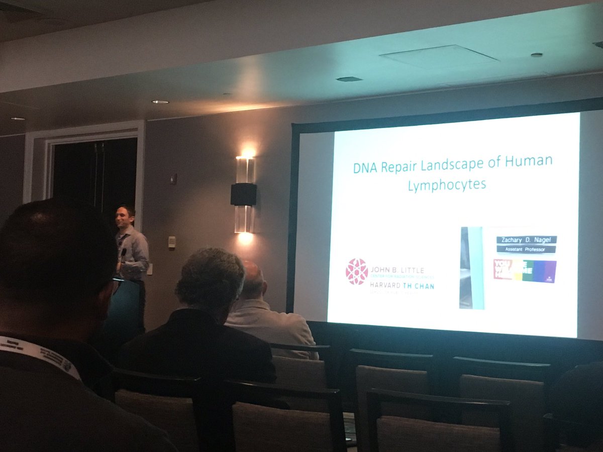 🧬Amy Whitaker tweet media