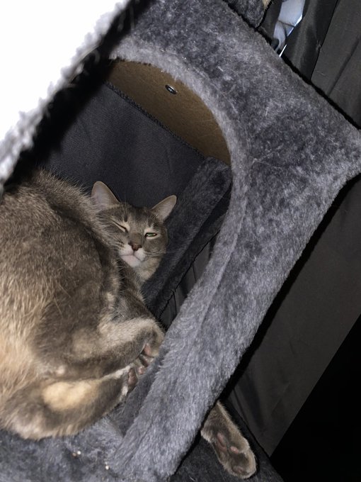 ~Cash~ https://t.co/v57GRO9TlR<a href="/tag/depressionfeelslike"class="tags"><span>#depressionfeelslike</span></a>