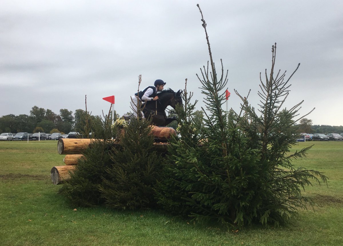 LambournVets's tweet photo. After a busy week @BlenheimHorse our team of vets are still full of smiles 
Thanks to everyone @BlenheimHorse - it’s been a privilege to be the vets at such a fantastic event
#InSafeHands
#FabFour
#syblenheim https://t.co/VZrJhE9kbu