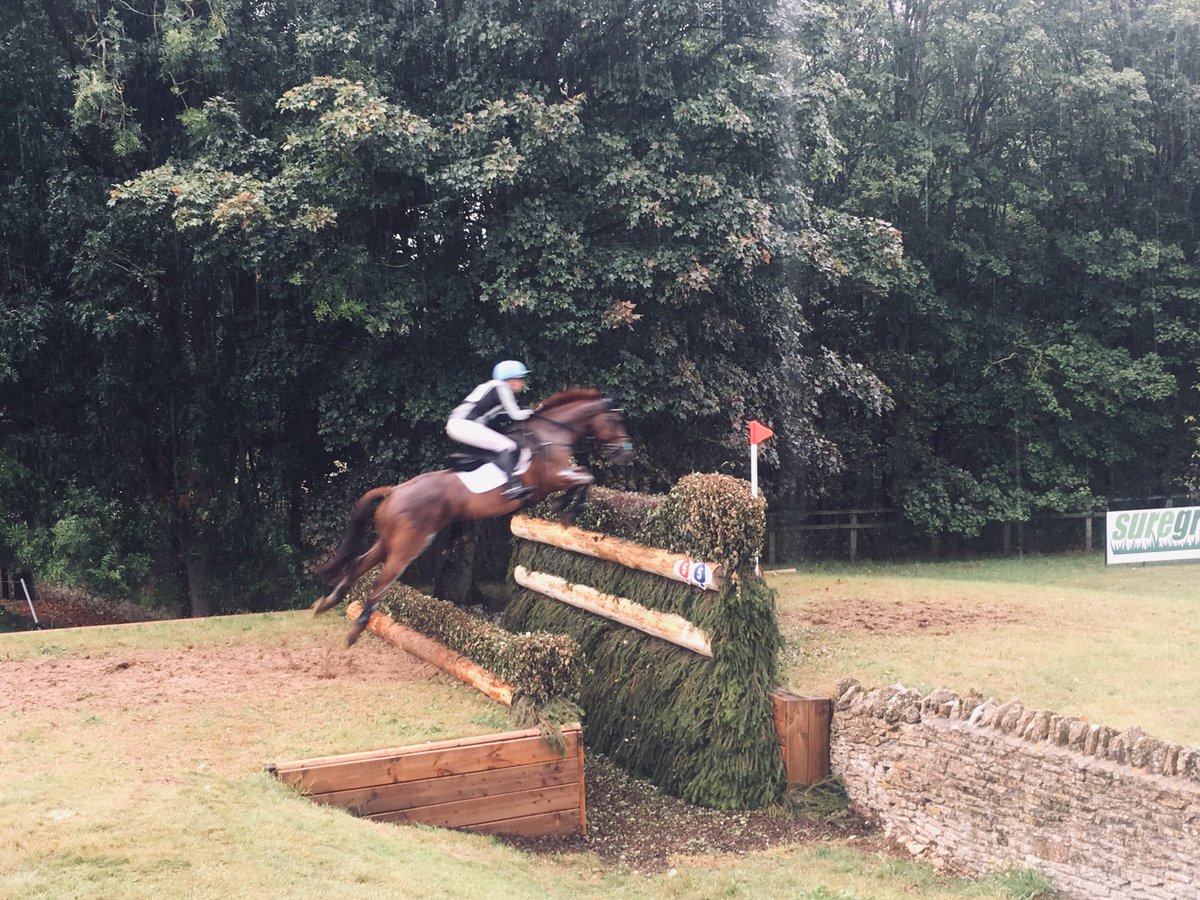 LambournVets's tweet photo. After a busy week @BlenheimHorse our team of vets are still full of smiles 
Thanks to everyone @BlenheimHorse - it’s been a privilege to be the vets at such a fantastic event
#InSafeHands
#FabFour
#syblenheim https://t.co/VZrJhE9kbu