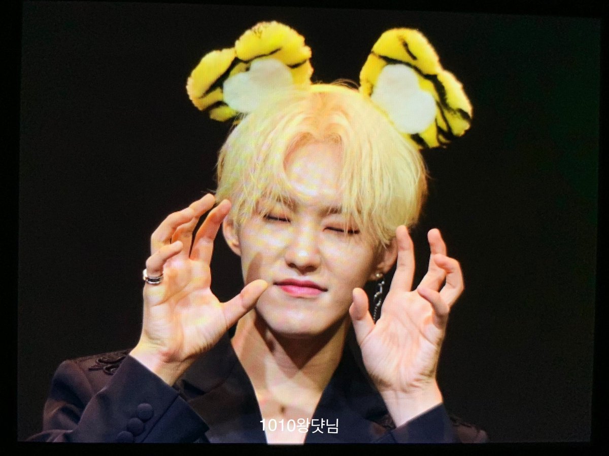 lolo_615's tweet photo. 190922 여의도 팬싸인회 
pre

🐯🐯🐯💕

#세븐틴 #SEVENTEEN #호시 #권순영 #HOSHI #왕댯님 @pledis_17 https://t.co/7IQEtVCHx5