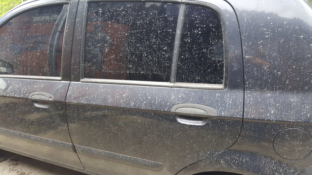 TheBitesFactory's tweet photo. @ANDASV @FOVIALITO buenos días señores, hace como un mes les reporte está fuga donde se pierde a diario mucha agua, favor tomar las consideraciones respectivas. Km 9 1/2 Carretera a Planes de Renderos.
O les paso semanalmente la factura del Carwash. https://t.co/3BnVtexexm