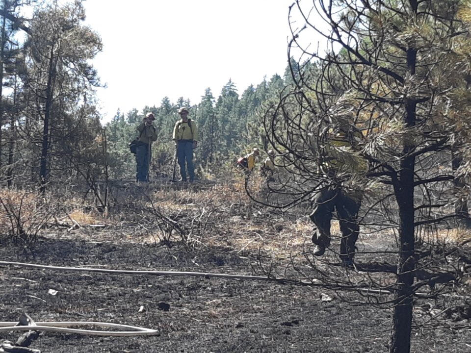 MountainFIDO's tweet photo. No flames are visible and the smoke may have cleared but 100s of hours of hard work remain on #BaldMountainFire. Firefighters working Sunday morning to locate hotspots, drop life-threatening snags, and reinforce fireline. https://t.co/XyqjChlPtb