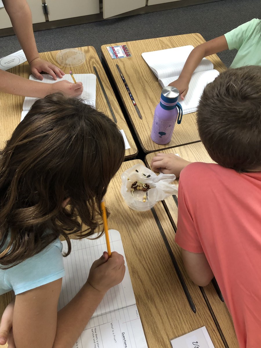 Ms_KourtneyF's tweet photo. Students have been observing and documenting the changes in seeds over time. https://t.co/4DdsPrHGwZ