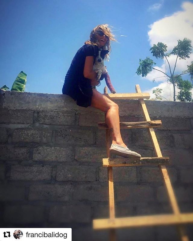 ILoveBaliDogs1's tweet photo. ❤️. #Repost @francibalidog ・・・
We made it.😅❤️🐾
@ilovebalidogs #rescuedog #bali #rescue #dog #nothingcanstopme #helpingdogs #nofear #nolimits #noexcuses #savingdogs #sunday #rescuedogsofinstagram #instadog #mybalilife #care #love #compassion #bali… https://t.co/NuVjHGIJeq https://t.co/UPckuvaBLG