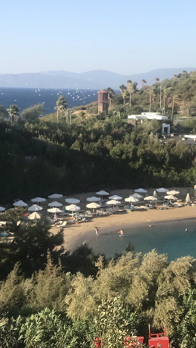 MeralKayikcoglu's tweet photo. A summer day in autumn #bodrum #congressinturkey #cardiometaboliccongress @SABOURETCardio https://t.co/AFqn2bSzUl