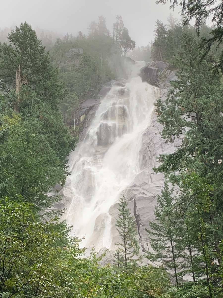 Marci Pluss tweet media