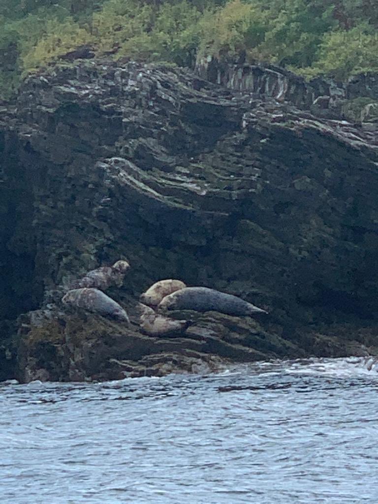 LisaHowarth18's tweet image. What a day!!!