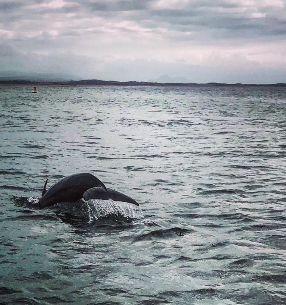 LisaHowarth18's tweet image. What a day!!!