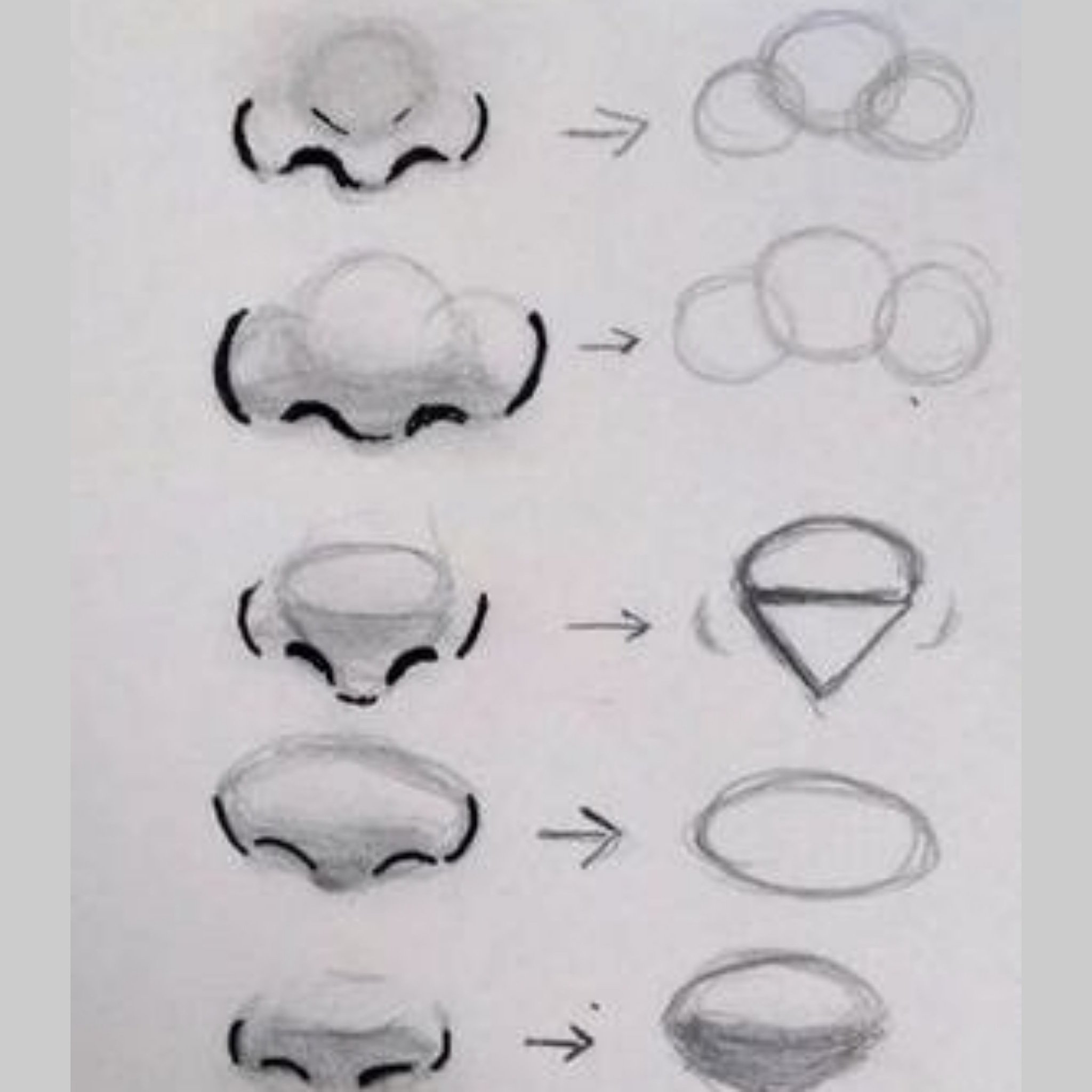 10 Amazing Nose Drawing Tutorials & Ideas - Brighter Craft | Realistic  drawings, Nose drawing, Drawings