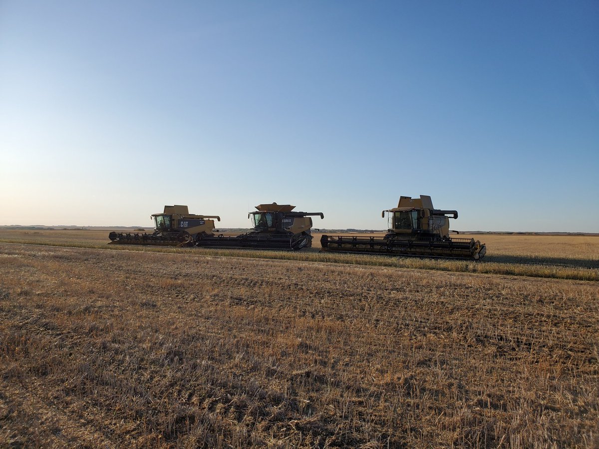 WishloffDallas's tweet photo. 3 generations of lexions all working together. #Claas #lexion @CLAAS_America https://t.co/oHCw4ZiZZt