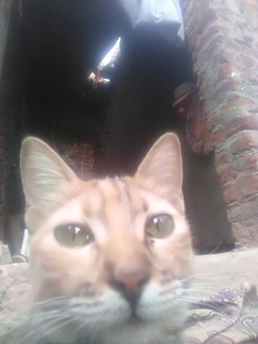 اما تحاول تعمل سيشن لقطتك الجربانه