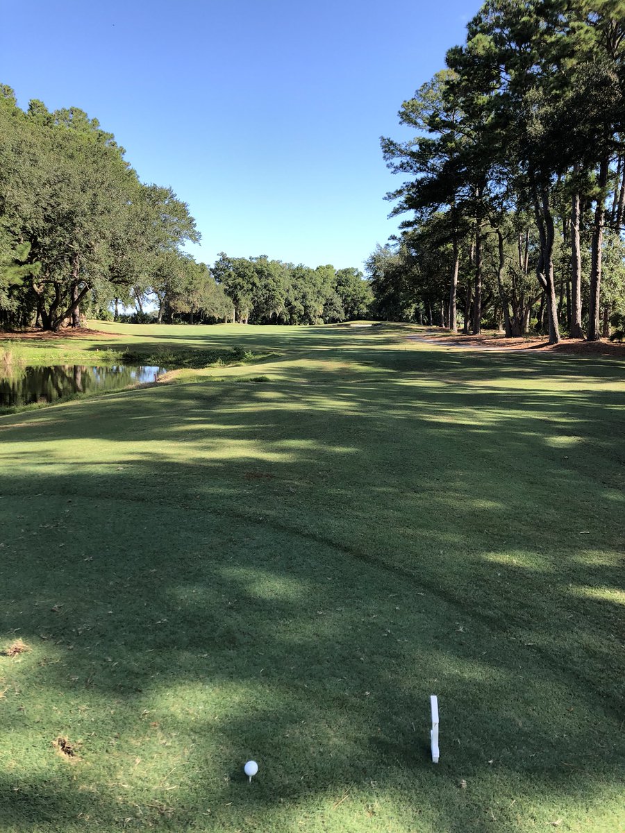 HiltonHeadPictu's tweet photo. Beautiful morning for golf at #DolphinHead on #HiltonHeadIsland https://t.co/r8ScLz56Bg