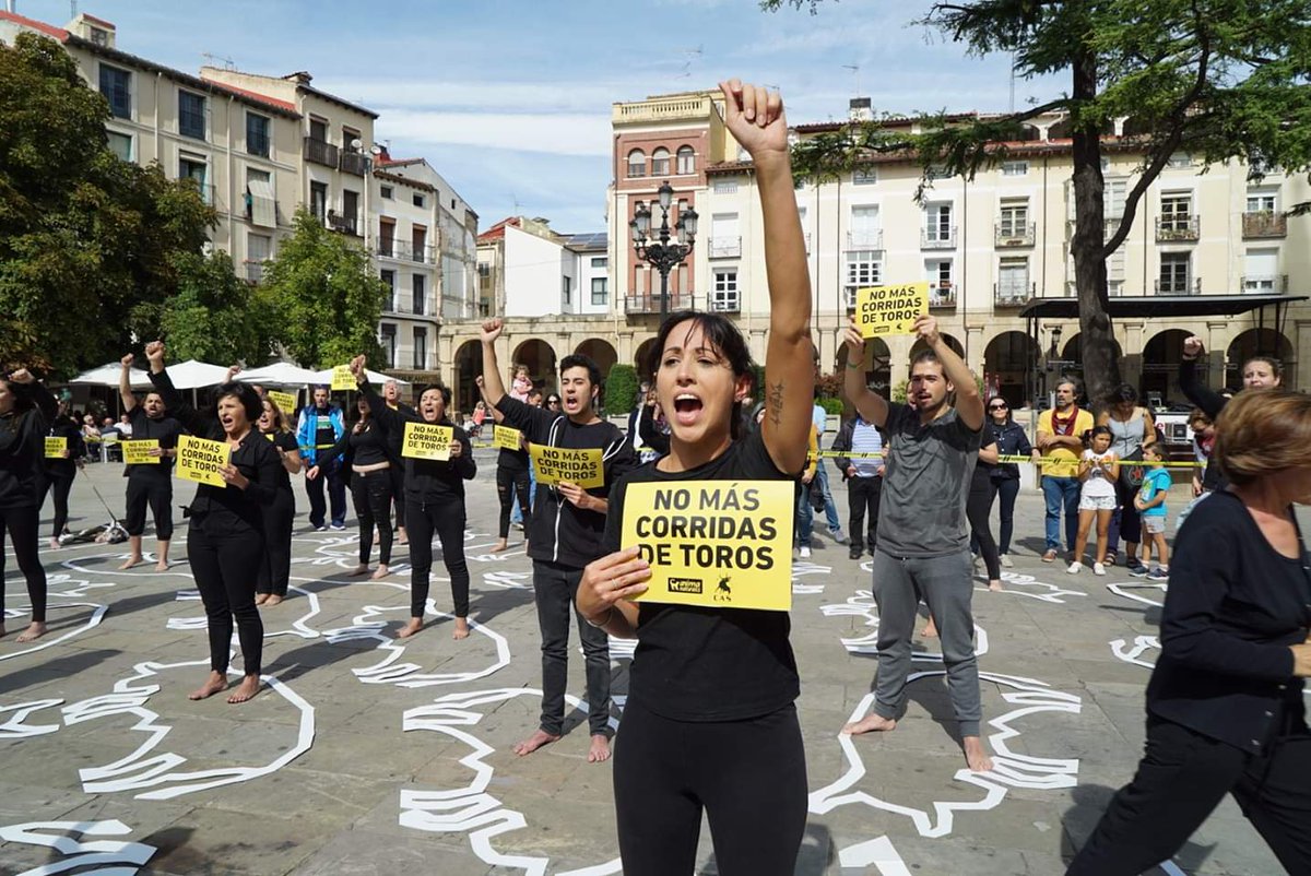 AnimaNaturalis's tweet photo. Medio centenar de activistas hemos gritado hoy #TauromaquiaAbolicion y nos hemos puesto en la piel de los 30 toros que serán torturados hasta la muerte en las fiestas de #SanMateo2019 de Logroño. 

Protesta de @CAS_Int y @AnimaNaturalis https://t.co/17SCMgbQBR