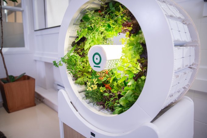Are products like this the future of indoor gardening? <a href="/OGarden_org/">OGarden</a> via <a href="/LisaCork_FPM/">Lisa Cork - Brand Strategist - Produce Expert</a>  #ogardensmart youtu.be/pcsAXTT2SSI?t=7