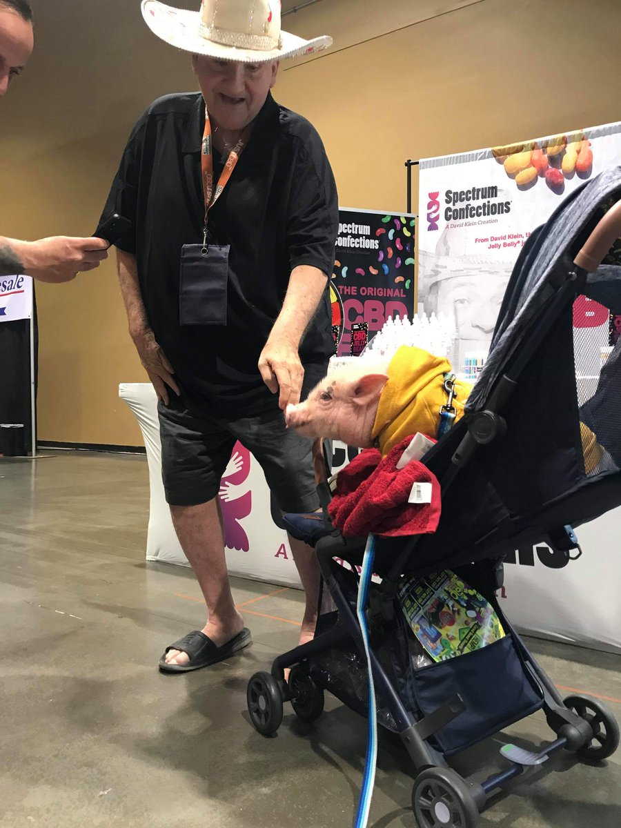 SpectrumConfect's tweet image. I'm glad we didn't bring our Pig Boogers™ to The Champs Expo.