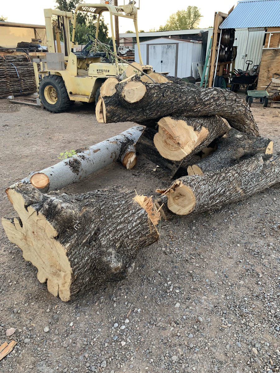 A small load of #olive to play with. I’m thinking some #cookies, bowl blanks and maybe some small #slabs? I love the smell of fresh cut olive! #trees #logs #sawmill #sawyer #urban #turningblanks #wood #woodworking #medeteranianolive #woodisgood #urbansawmill #urbanwood