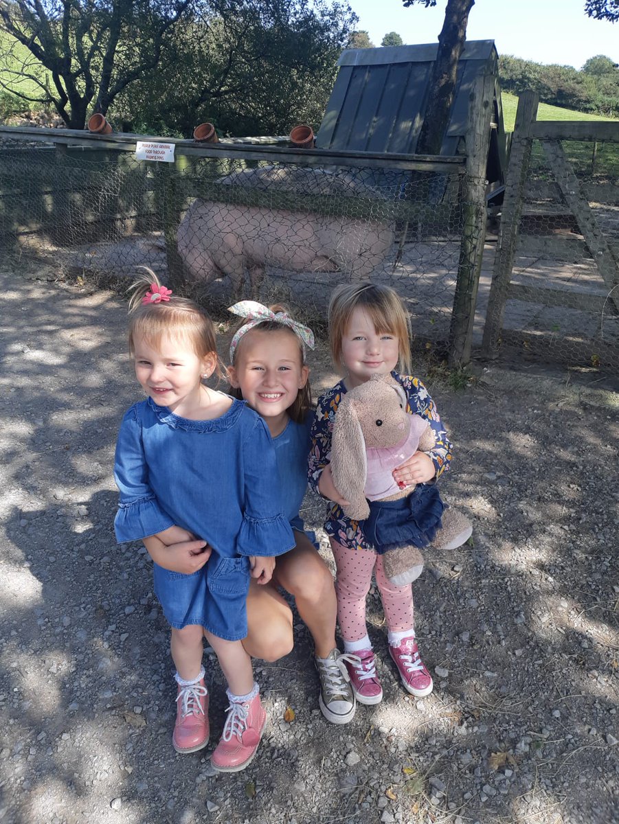 pinky2630's tweet photo. @YBBNursery Rosie and Bronwen having fun https://t.co/PvBrioT7cV