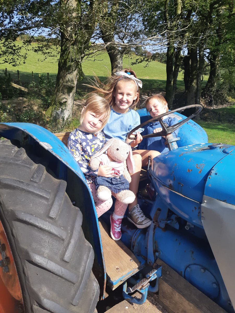 pinky2630's tweet photo. @YBBNursery Rosie and Bronwen having fun https://t.co/PvBrioT7cV