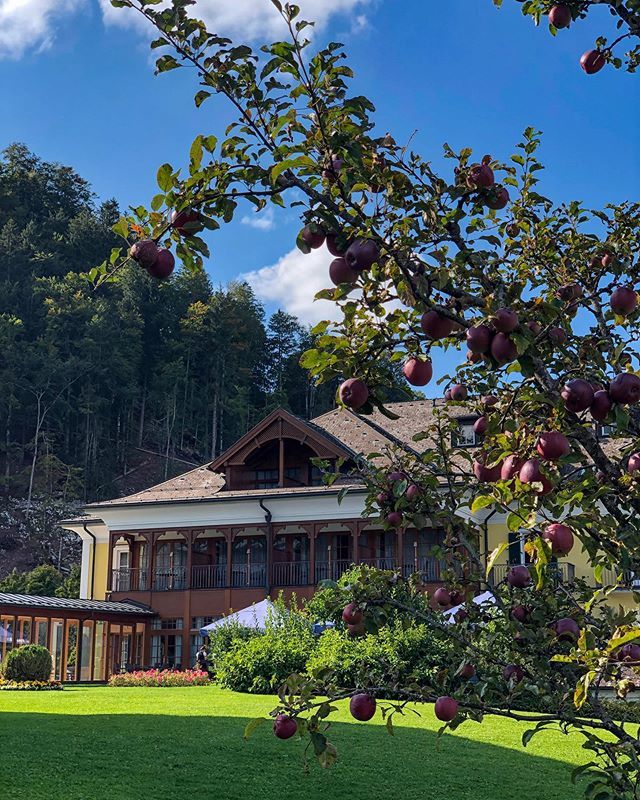Die Schönheit des Spätsommers 🍎 im Salzkammergut 🌞

#sheratonfuschlsee #sheraton #fuschlsee #jagdhof #austria #marriott #marriottbonvoy #view #spätsommer #apple #autumn #nature