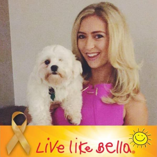 LiveLikeBella's tweet photo. T- Minus 1 Hour!! Join us! 4PM EST #TweetChat Join the extraordinary journey of Childhood Cancer Survivor @Amandashoopman joined by @iCANResearch @livelikebella @lillytrials #iCANChat #LiveLikeBella #ChildhoodCancerAwarenessMonth https://t.co/xElr9Yglyv
